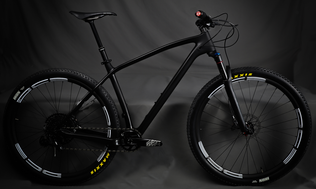 Carbon mountain bike 2024 price