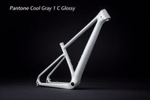 Load image into Gallery viewer, DCB XCE29 Santa Cruz Highball Style Endurance Carbon MTB Frame 29er