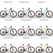 Load image into Gallery viewer, 29er DCB XCR29 Epic Style Affordable Carbon XC Mountain Bike Hardtail