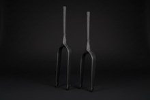 Load image into Gallery viewer, 20 or 24 R20 DCB Carbon Rigid Fork