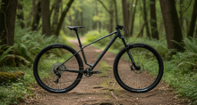 Load image into Gallery viewer, 29er DCB XCU29 Orbea Alma UDH Carbon MTB Frame