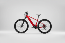 Load image into Gallery viewer, DCB XCT29-E Trek Powerfly Hardtail Style E-Bike eMTB Carbon Frame 29er Including All E-parts