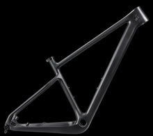 Load image into Gallery viewer, DCB XCE29 Santa Cruz Highball Style Endurance Carbon MTB Frame 29er
