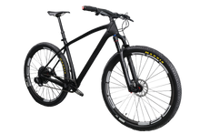 Load image into Gallery viewer, 29er DCB XCR29 Epic Style Complete Carbon XC Mountain Bike Hardtail - DIY Carbon Bikes