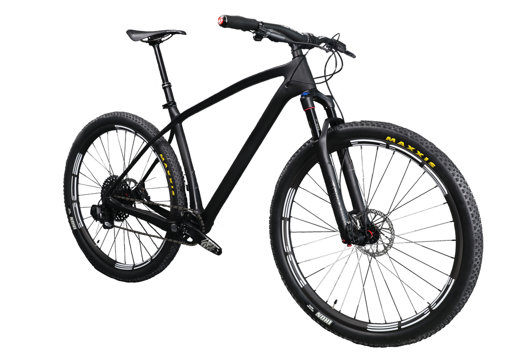 29er DCB XCR29 Epic Style Complete Carbon XC Mountain Bike Hardtail