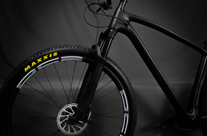 29er DCB XCR29 Epic Style Complete Carbon XC Mountain Bike Hardtail - DIY Carbon Bikes