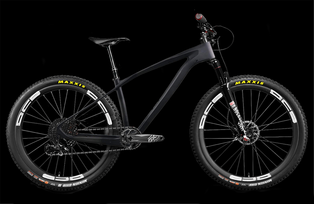 Carbon santa cruz chameleon sales